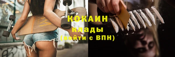 индика Елабуга