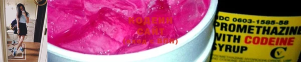 амф Ельня