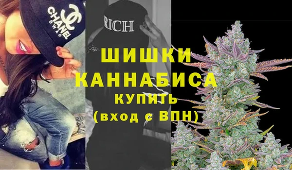 винт Дмитриев