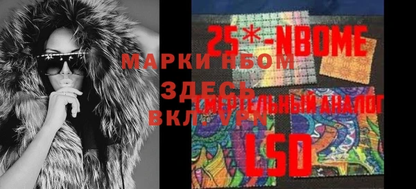 индика Елабуга