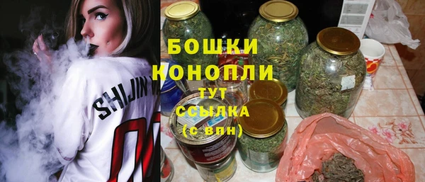 винт Дмитриев