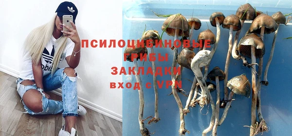 винт Дмитриев
